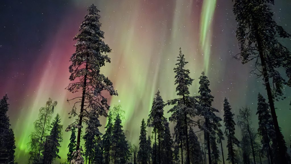 When and where can you see the northern lights?