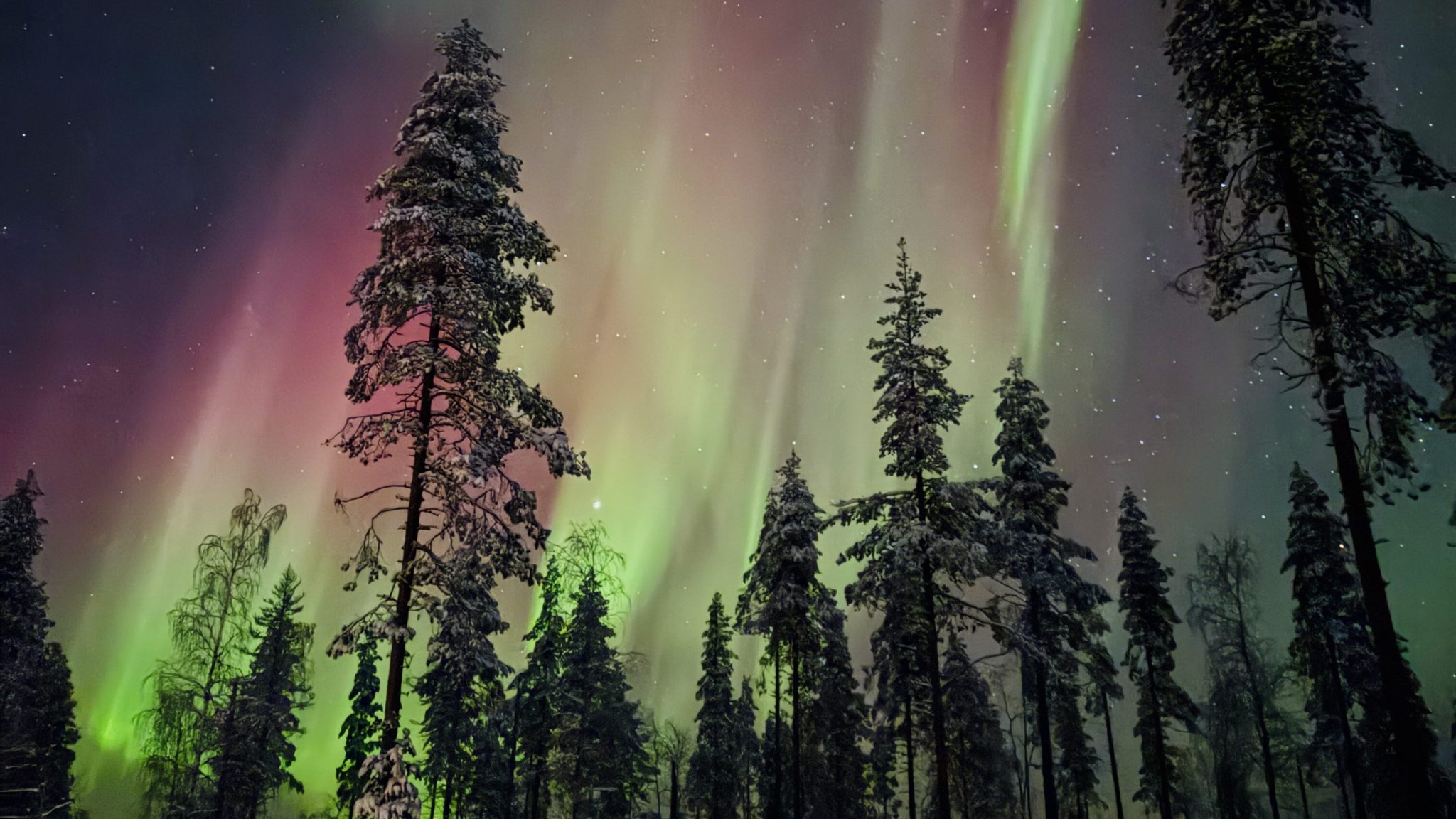 When and where can you see the northern lights?